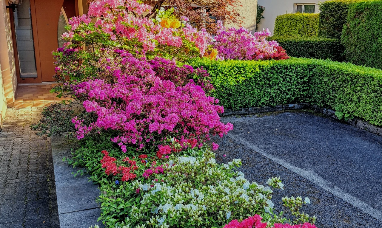 view of garden