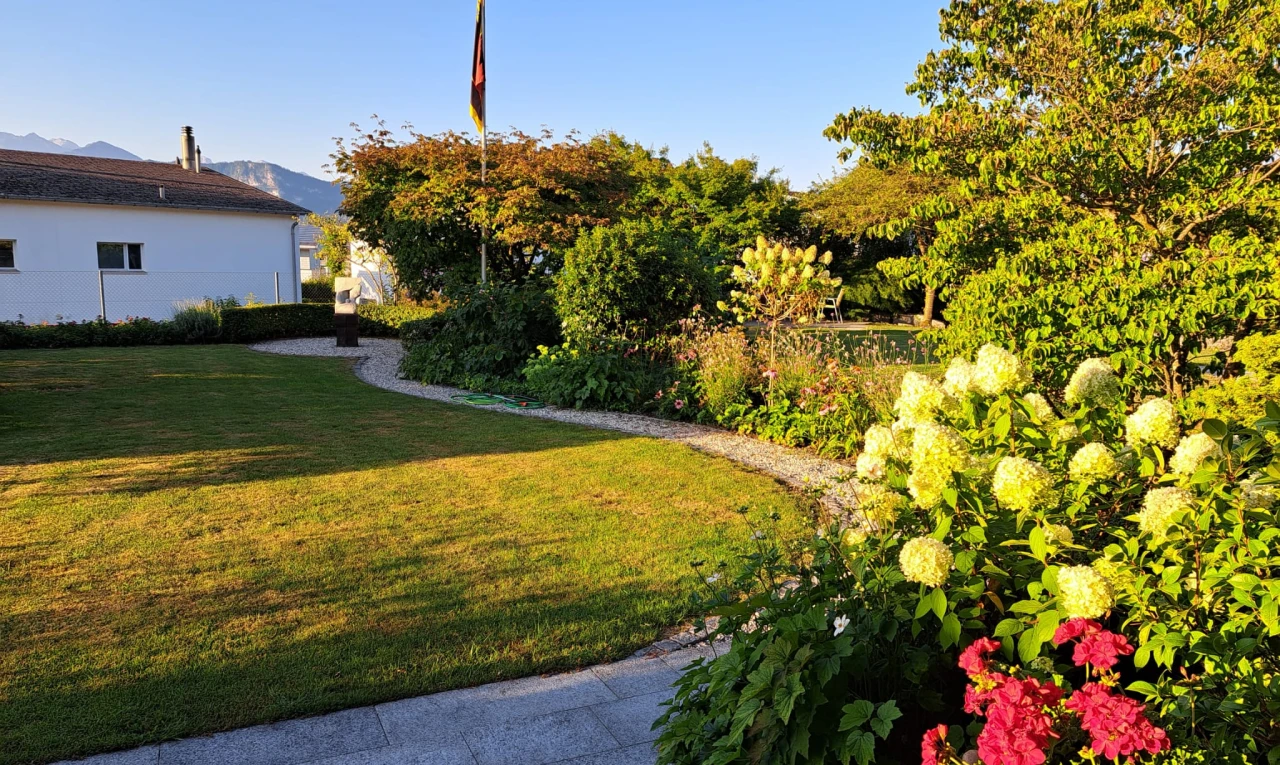 garden with a yard