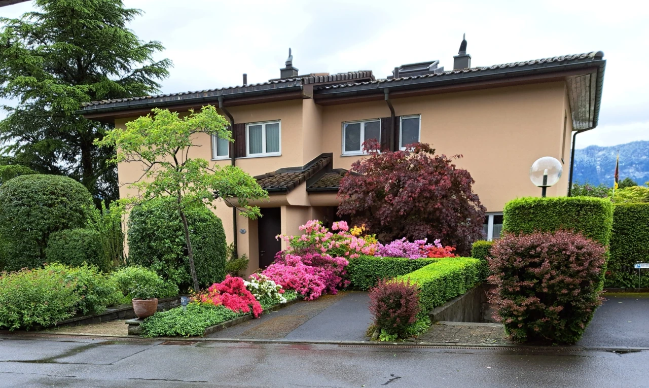 view of garden