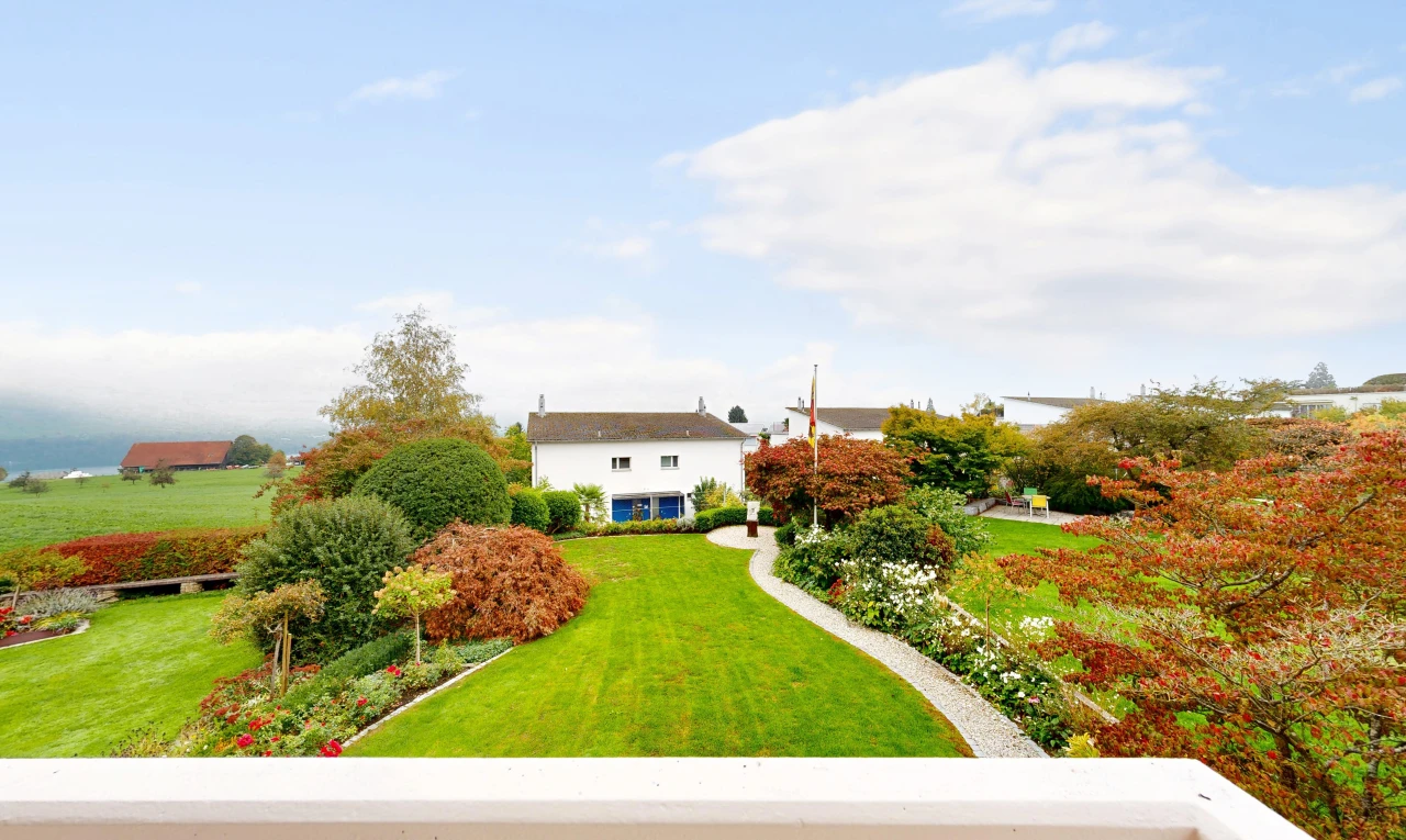 garden with a yard