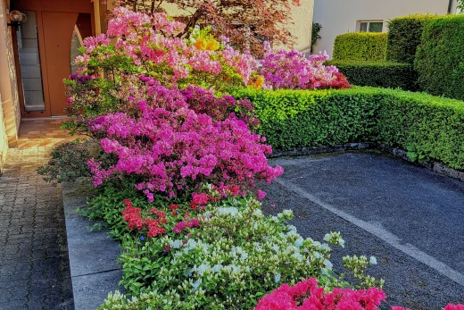 view of garden