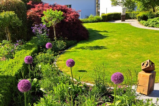 garten mit rasen