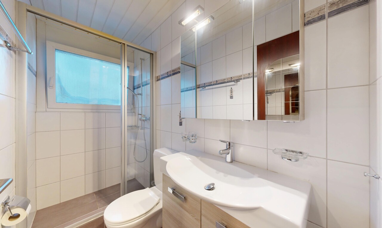 bad mit spiegel, dusche, schminktisch, toilette, und komplettes badezimmer