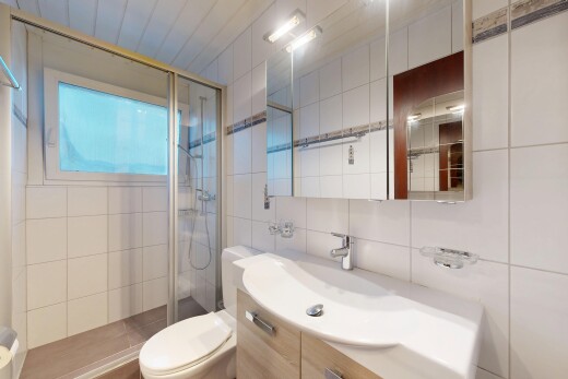 salle de bains avec miroir, douche, lavabo (ou coiffeuse selon le contexte), toilette, et salle de bain complète