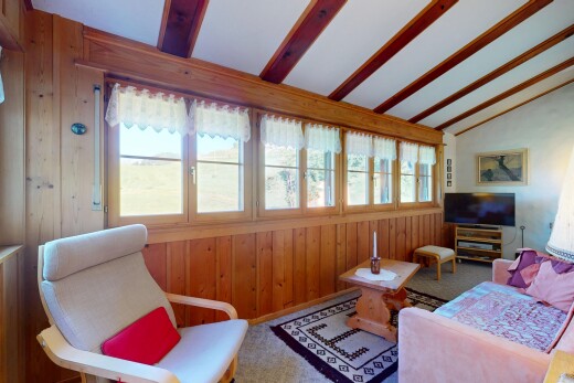 salon avec plafond à poutres, beamed ceiling, mur en bois, wood wall, et lumière naturelle