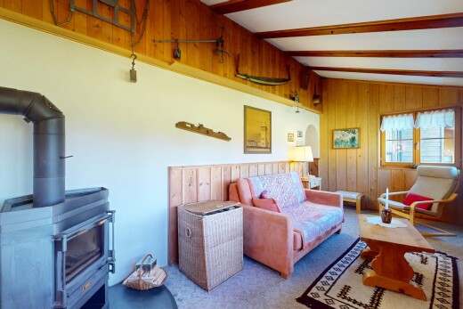 salon avec inside property, poêle à bois, natural light, lumière naturelle, et wood wall