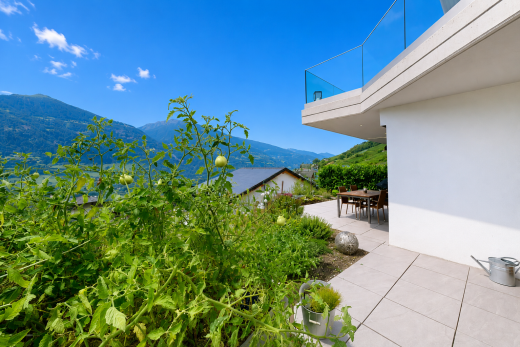 vue sur la montagne avec from property, vue sur la montagne, mountain view, view focus, et day time