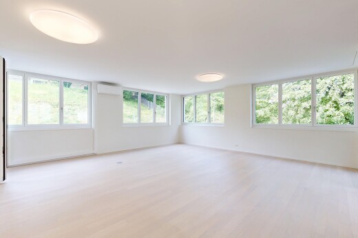 pièce vide avec inside property, drywall, cloison sèche, natural light, et lumière naturelle