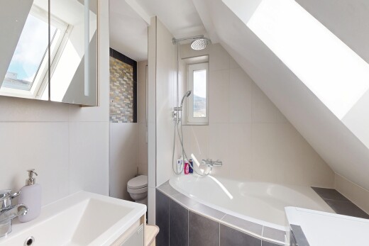 salle de bains avec puits de lumière, toilette, lavabo (ou coiffeuse selon le contexte), salle de bain complète, et lumière naturelle