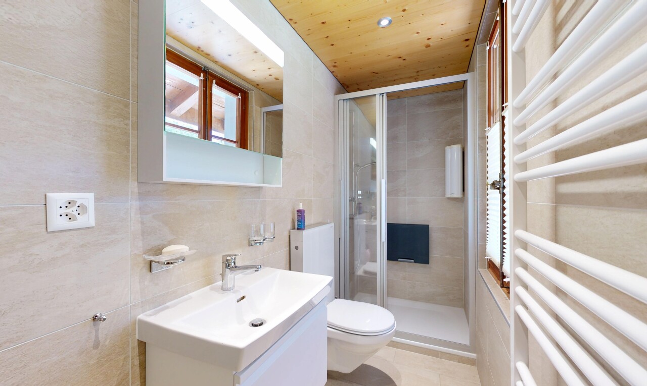 salle de bains avec chauffe-serviettes, douche, salle de bain complète, miroir, et toilette