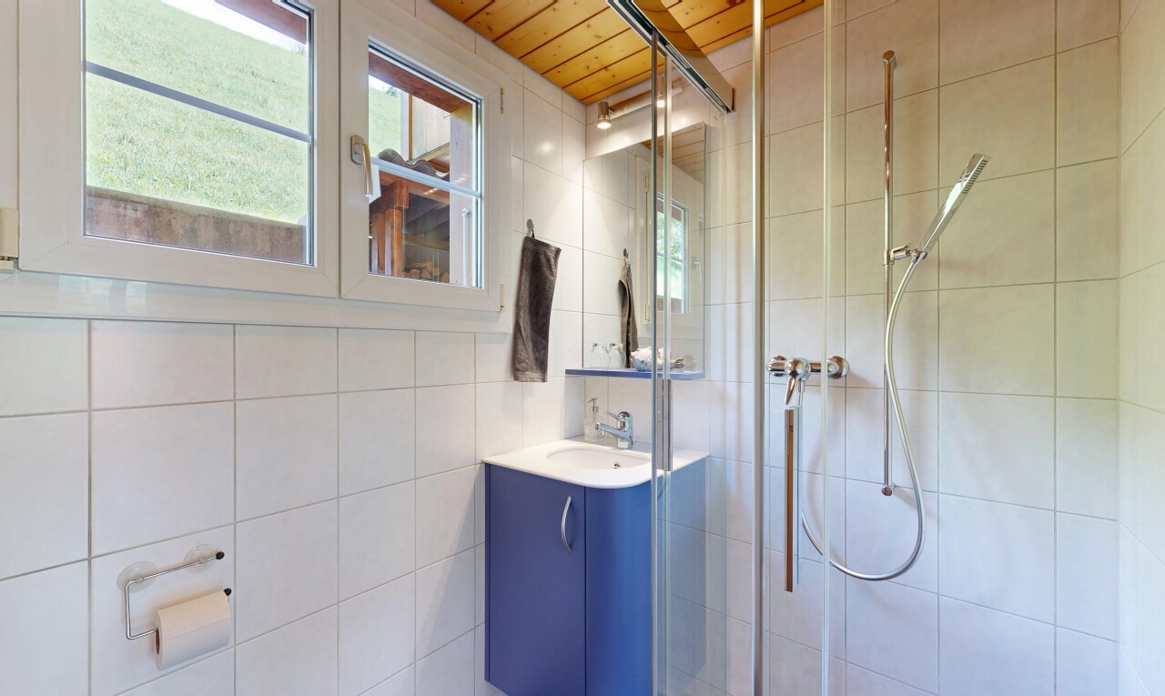 bad mit dusche, schminktisch, komplettes badezimmer, spiegel, und natural light