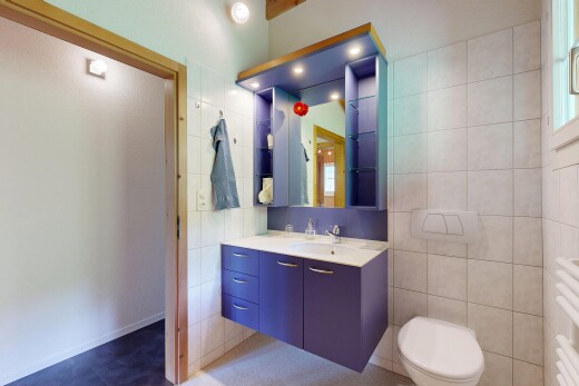 salle de bains avec lavabo (ou coiffeuse selon le contexte), miroir, inside property, évier, et tile wall