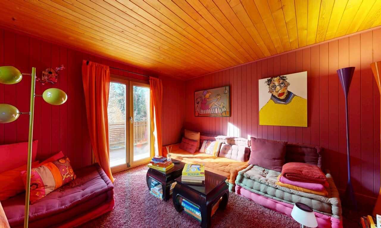 salon avec plafond en bois, wood ceiling, moquette, carpet, et mur en bois