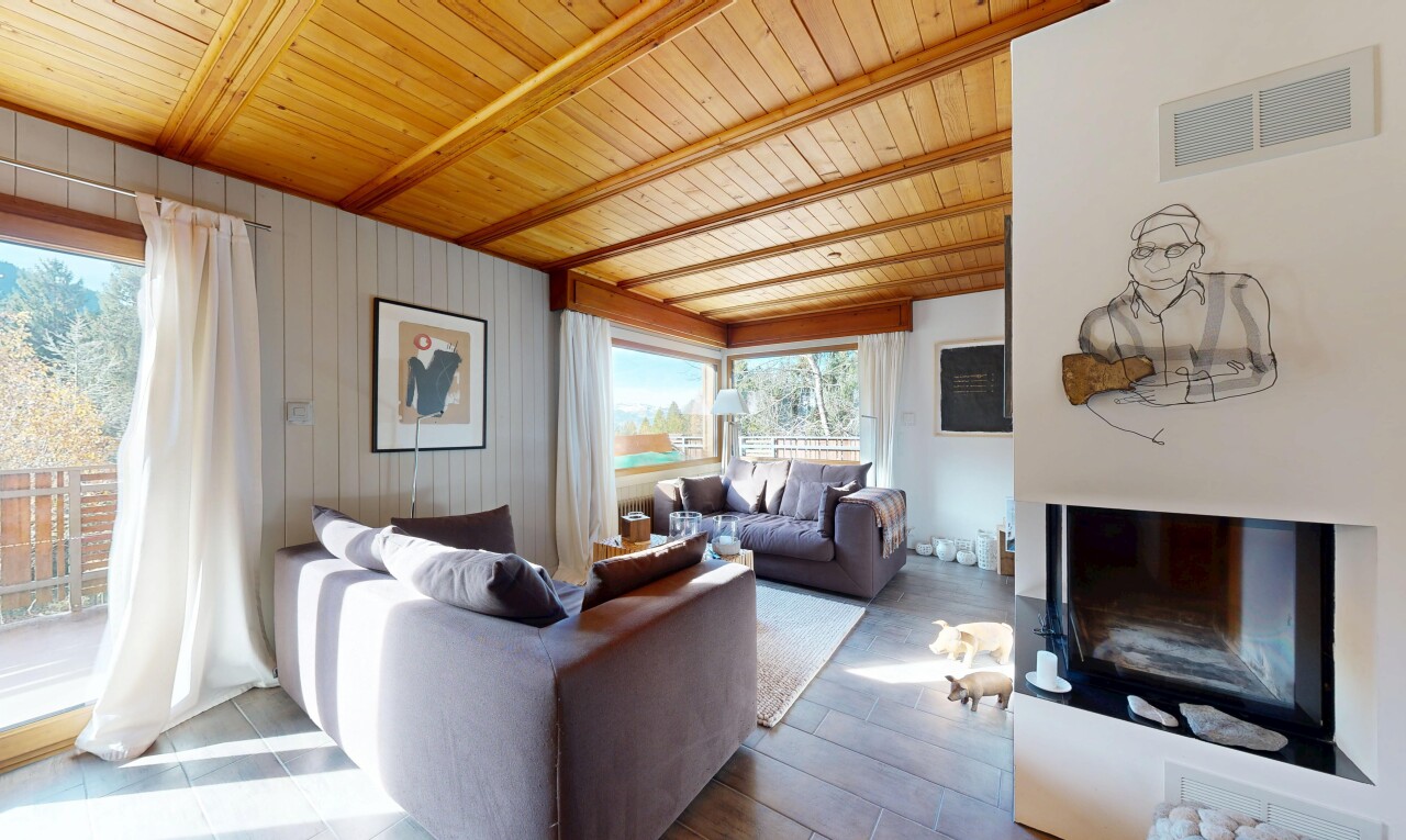 salon avec plafond en bois, wood ceiling, cheminée, ventilation, et inside property