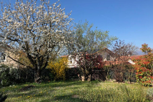 jardin avec day time et pelouse