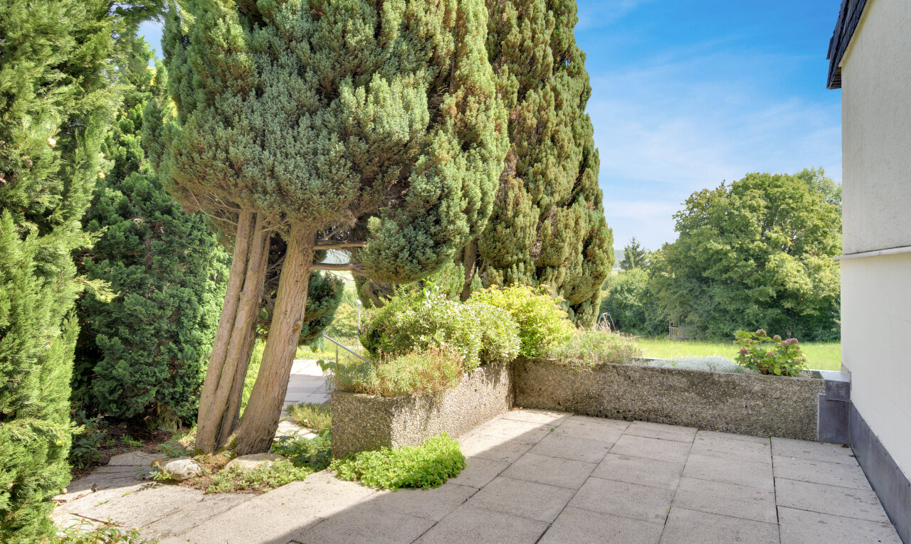 garten mit from property und day time