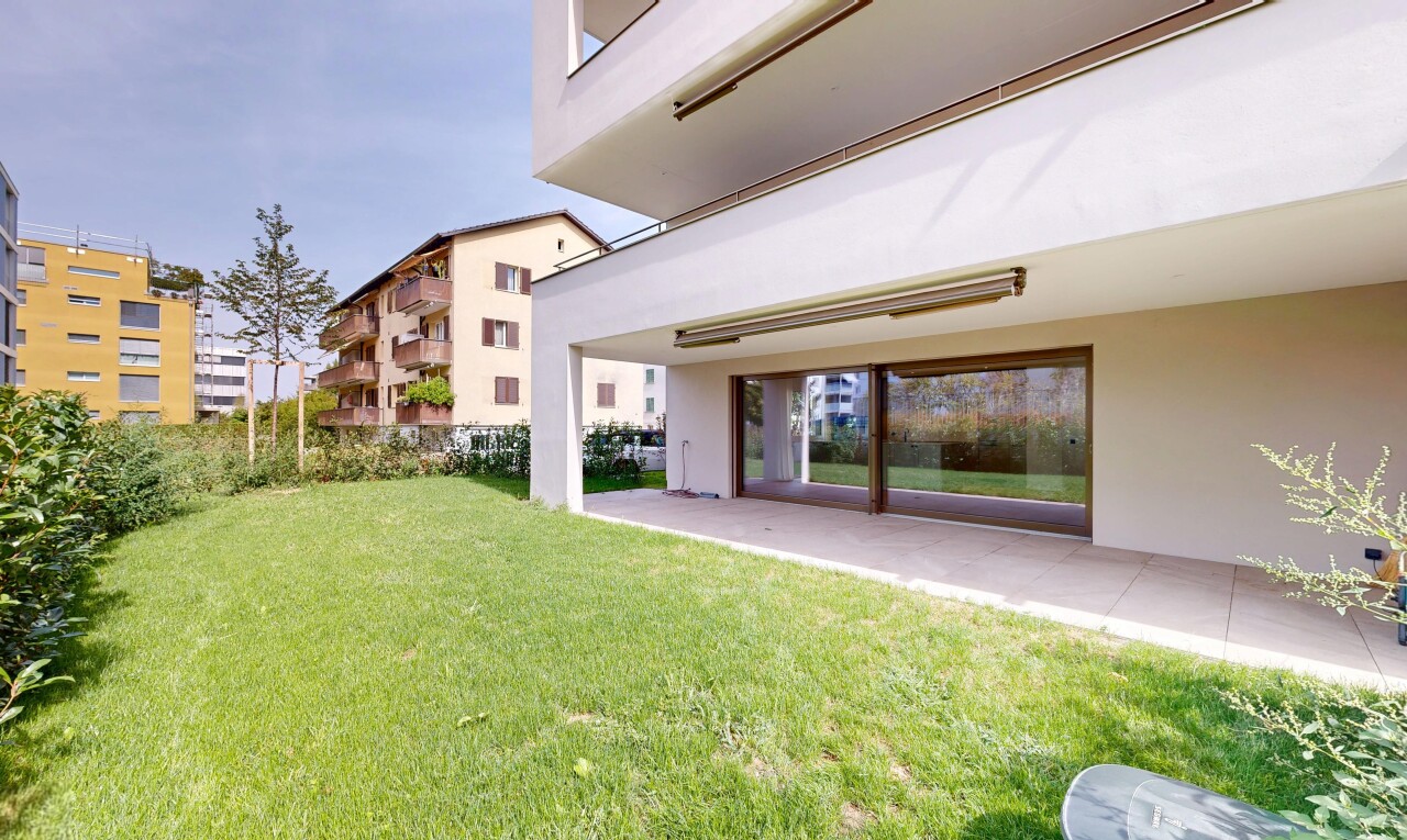 garden with a lawn