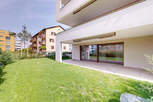 garden with a lawn