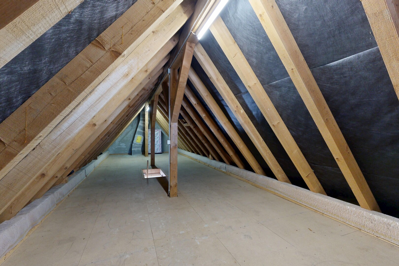détails avec attic, attic / basement / garage, unfinished floor, floor, et interior