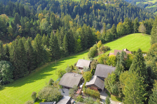 garten mit rasen, forest view, waldblick, und aerial view