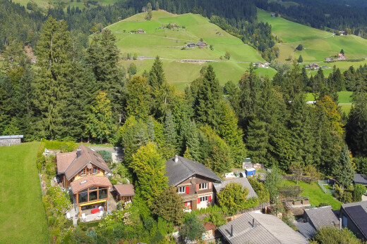 außenansicht mit waldblick, forest view, wohngebietblick, residential view, und aerial view