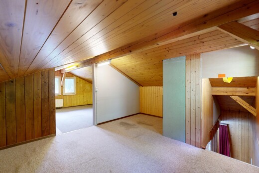 leerer raum mit natürliches licht, natural light, inside property, teppich, und carpet