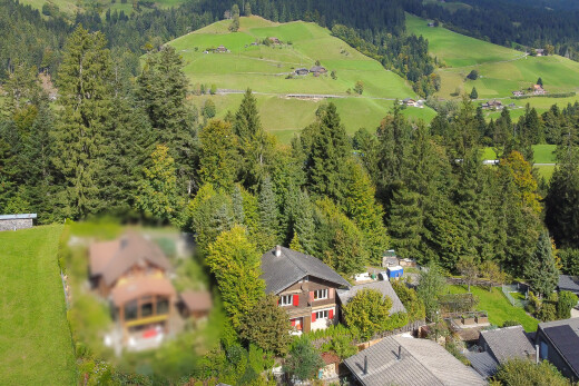 außenansicht mit aerial view, forest view, waldblick, residential view, und wohngebietblick