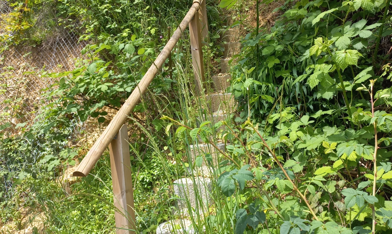 nature