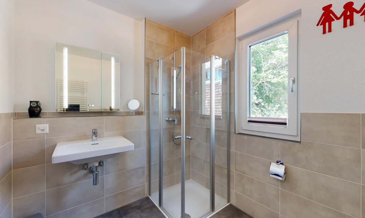 salle de bains avec lumière naturelle, radiateur, vasque, douche, porte de douche, et miroir