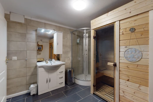 badezimmer mit fliesenboden, spiegel, übergroßer waschtisch und dusche mit duschtür