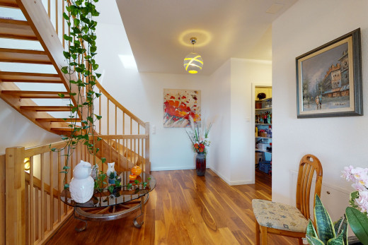 entrance foyer with wood-type flooring