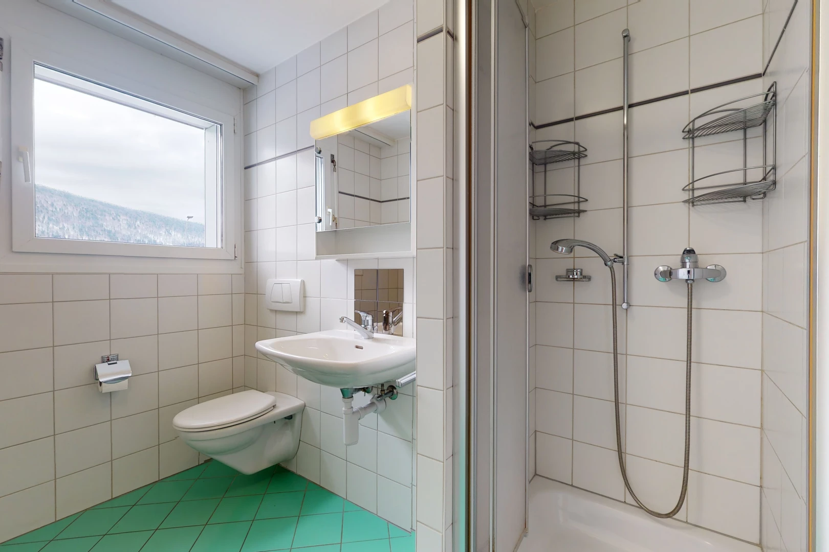 bathroom with natural light, toilet, washbasin, mirror, and a shower