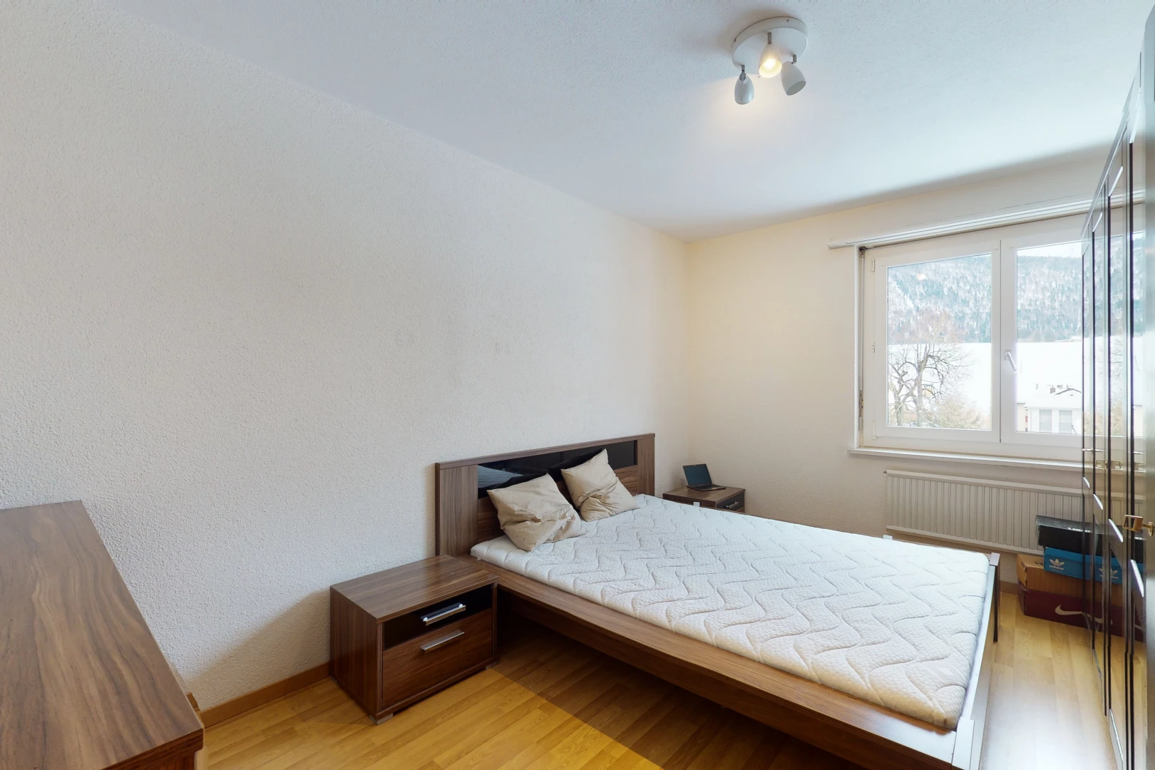 hardwood floored bedroom with natural light and radiator