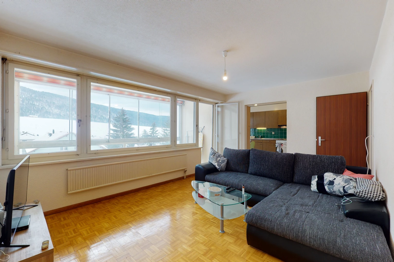 living room featuring a healthy amount of sunlight, wood-type flooring, and radiator