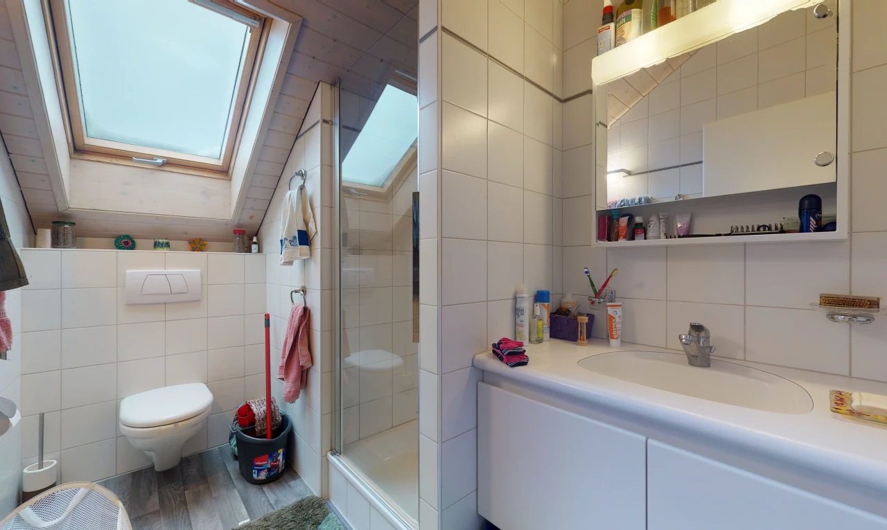 half bathroom featuring skylight, toilet, mirror, and vanity