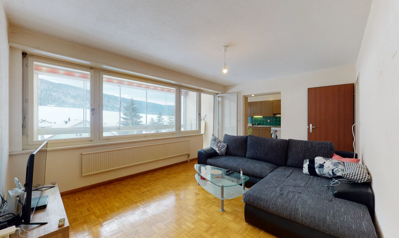 living room featuring a healthy amount of sunlight, wood-type flooring, and radiator
