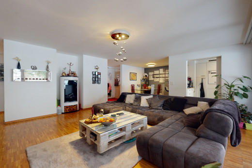 salon avec parquet