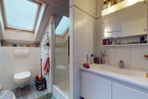 salle de bains avec lucarne, toilette, vasque, miroir, et meuble-lavabo