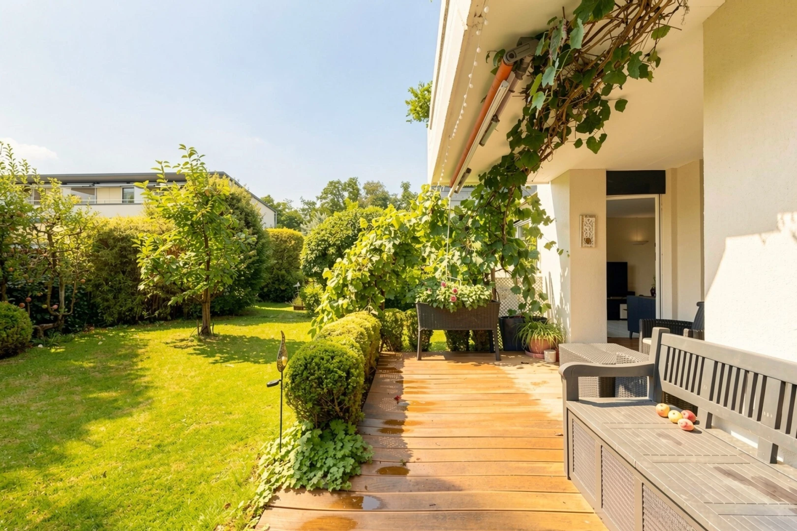 garten mit rasen, from property, deck, day time, und grün machen