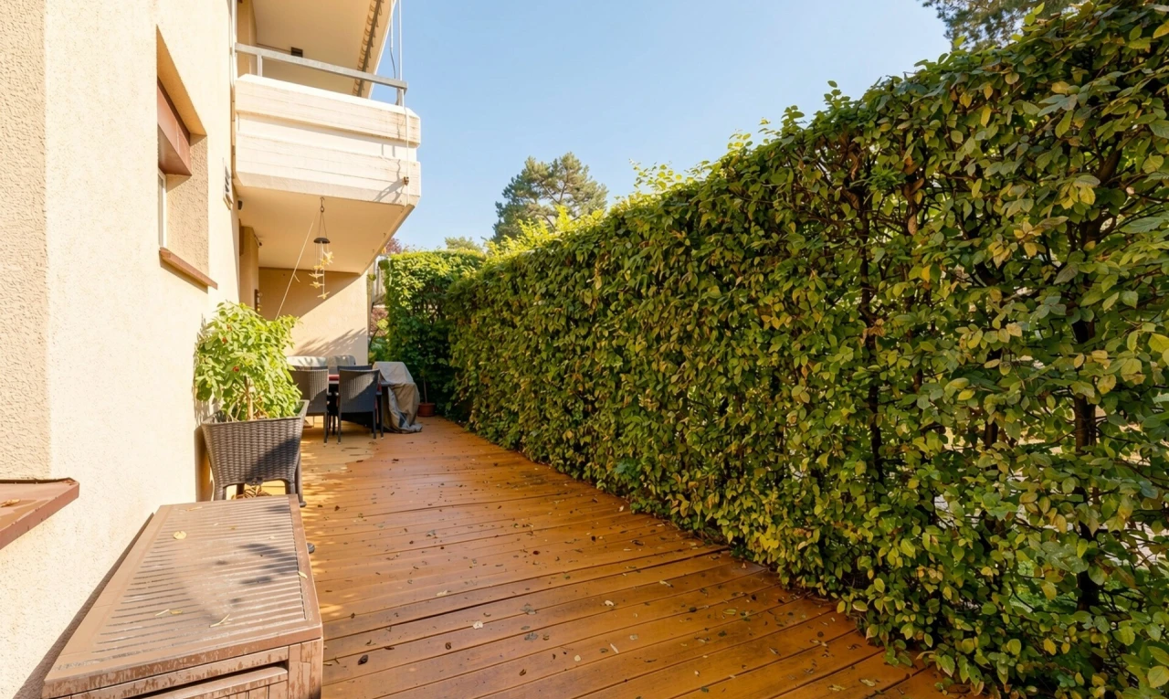 terrasse mit deck, from property, und day time