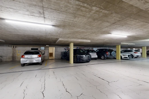 parken mit parkgarage