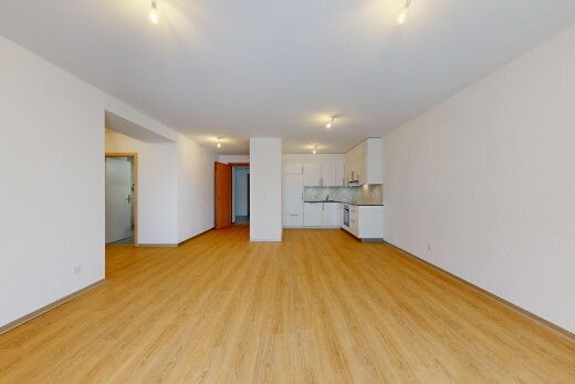 leerer raum mit parkettboden