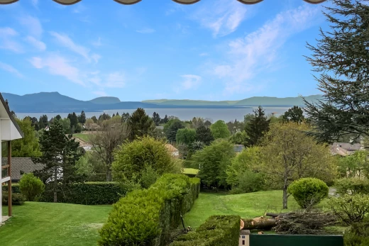 vue sur la montagne avec vue sur la montagne