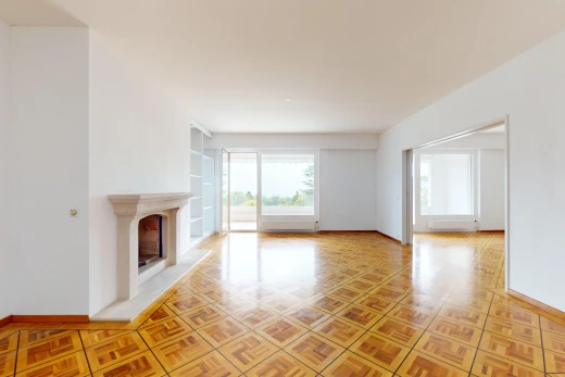 pièce vide avec cheminée, lumière naturelle, et parquet