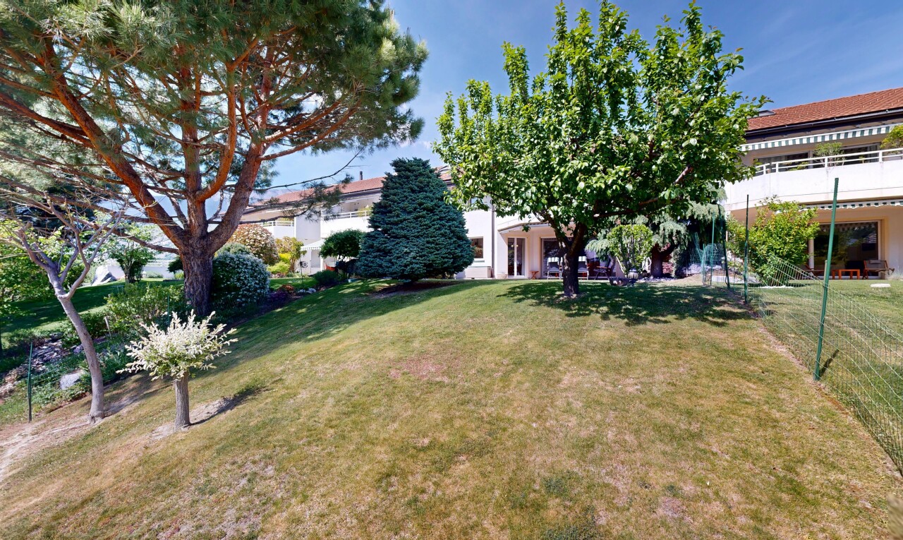 jardin avec pelouse et day time