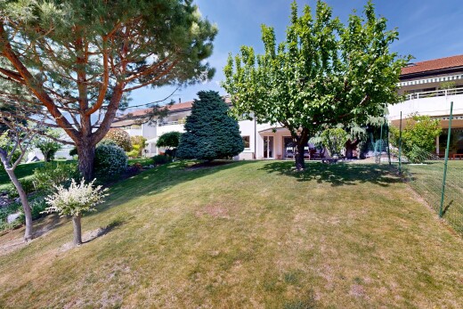 jardin avec pelouse et day time