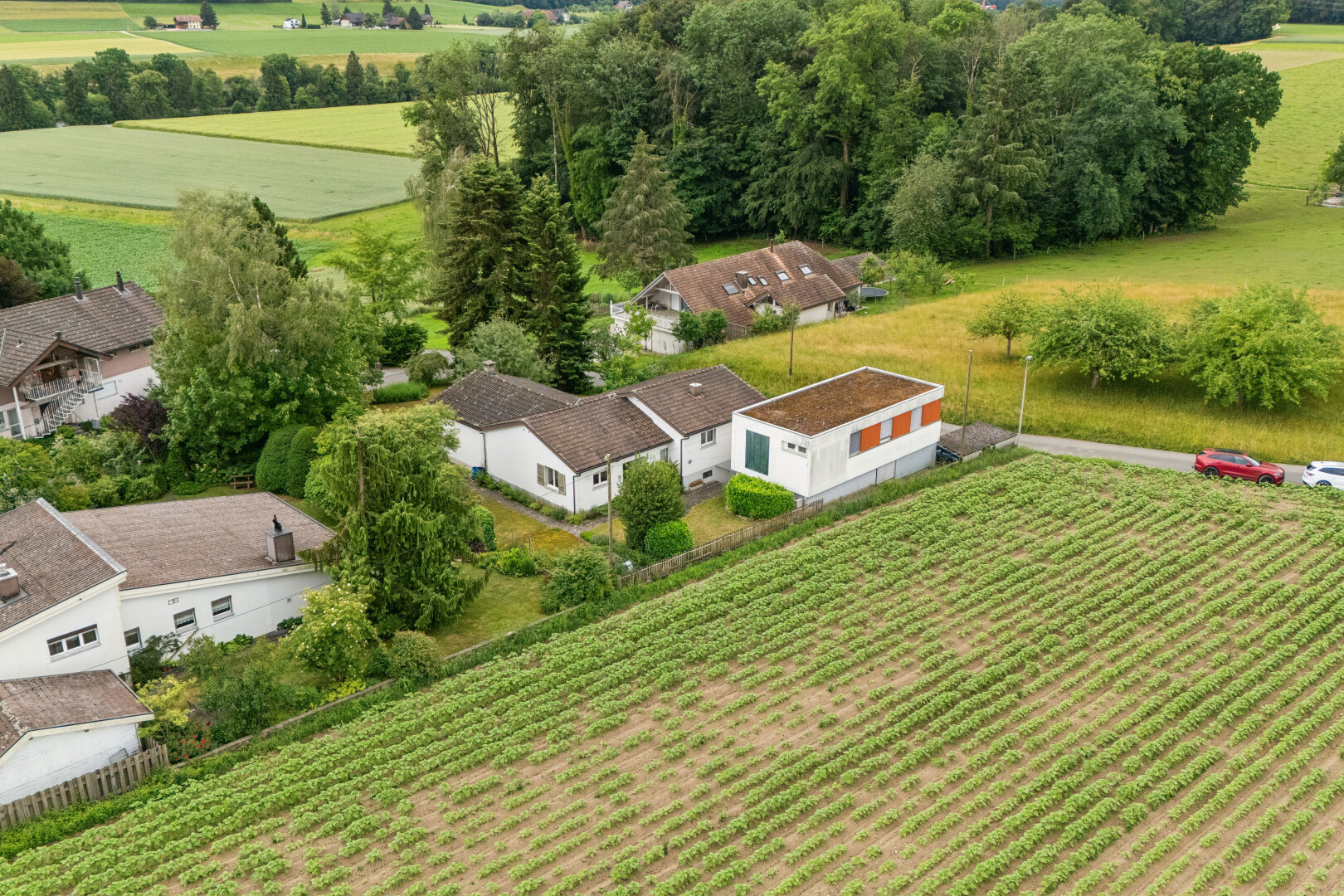 außenansicht mit property visible, rural view, ländliche aussicht, orchard / agricultural view, und blick auf obstgarten/agrarland