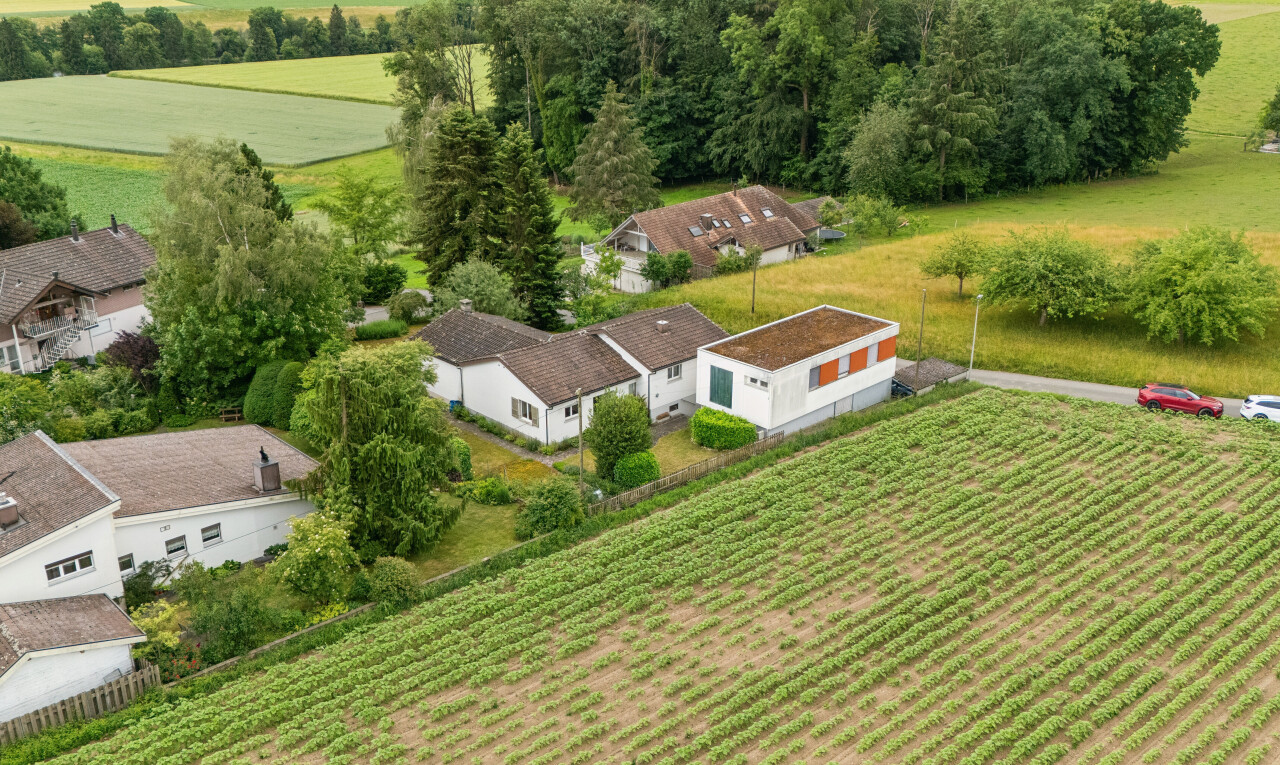 außenansicht mit property visible, rural view, ländliche aussicht, orchard / agricultural view, und blick auf obstgarten/agrarland