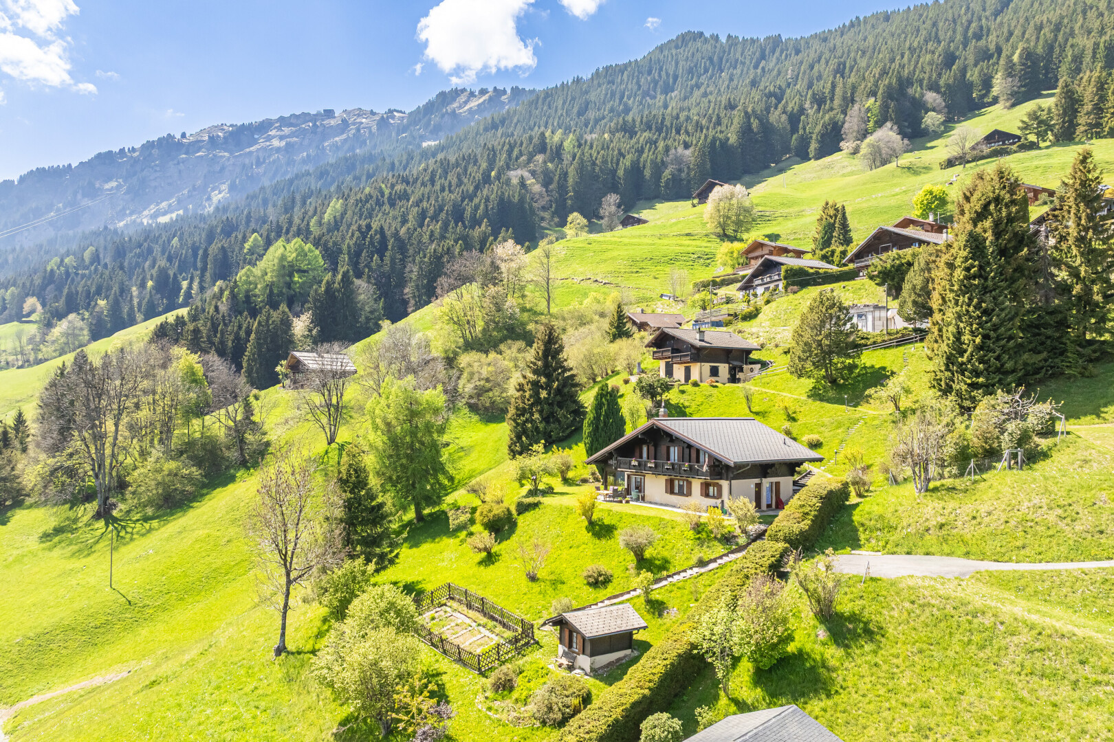 blick auf die berge mit forest view, waldblick, day time, aerial view, und mountain view