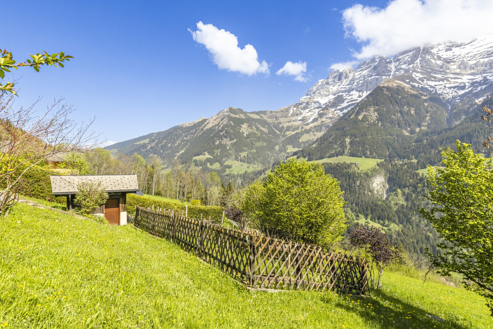 blick auf die berge mit day time, mountain view, und blick auf die berge